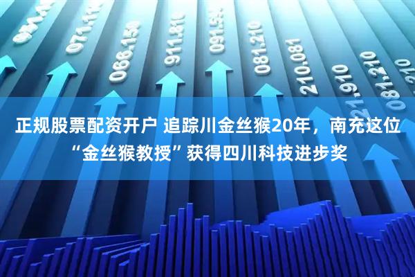 正规股票配资开户 追踪川金丝猴20年，南充这位“金丝猴教授”获得四川科技进步奖