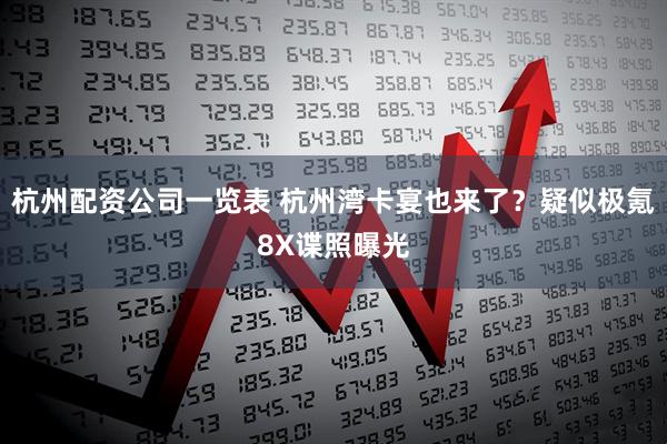 杭州配资公司一览表 杭州湾卡宴也来了？疑似极氪8X谍照曝光