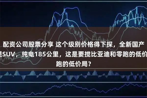 配资公司股票分享 这个级别价格得下探，全新国产插混SUV，纯电185公里，这是要搅比亚迪和零跑的低价局？