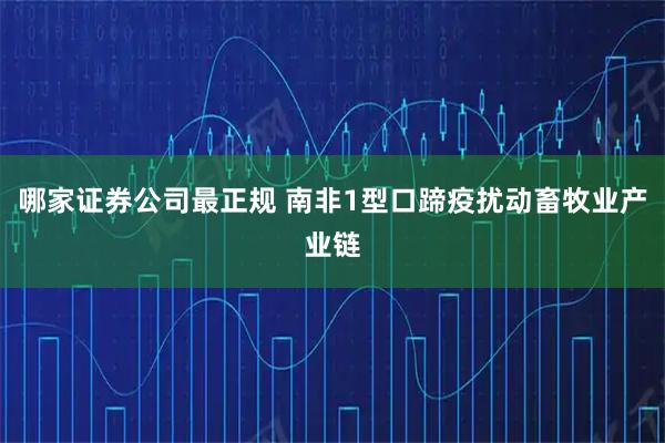哪家证券公司最正规 南非1型口蹄疫扰动畜牧业产业链
